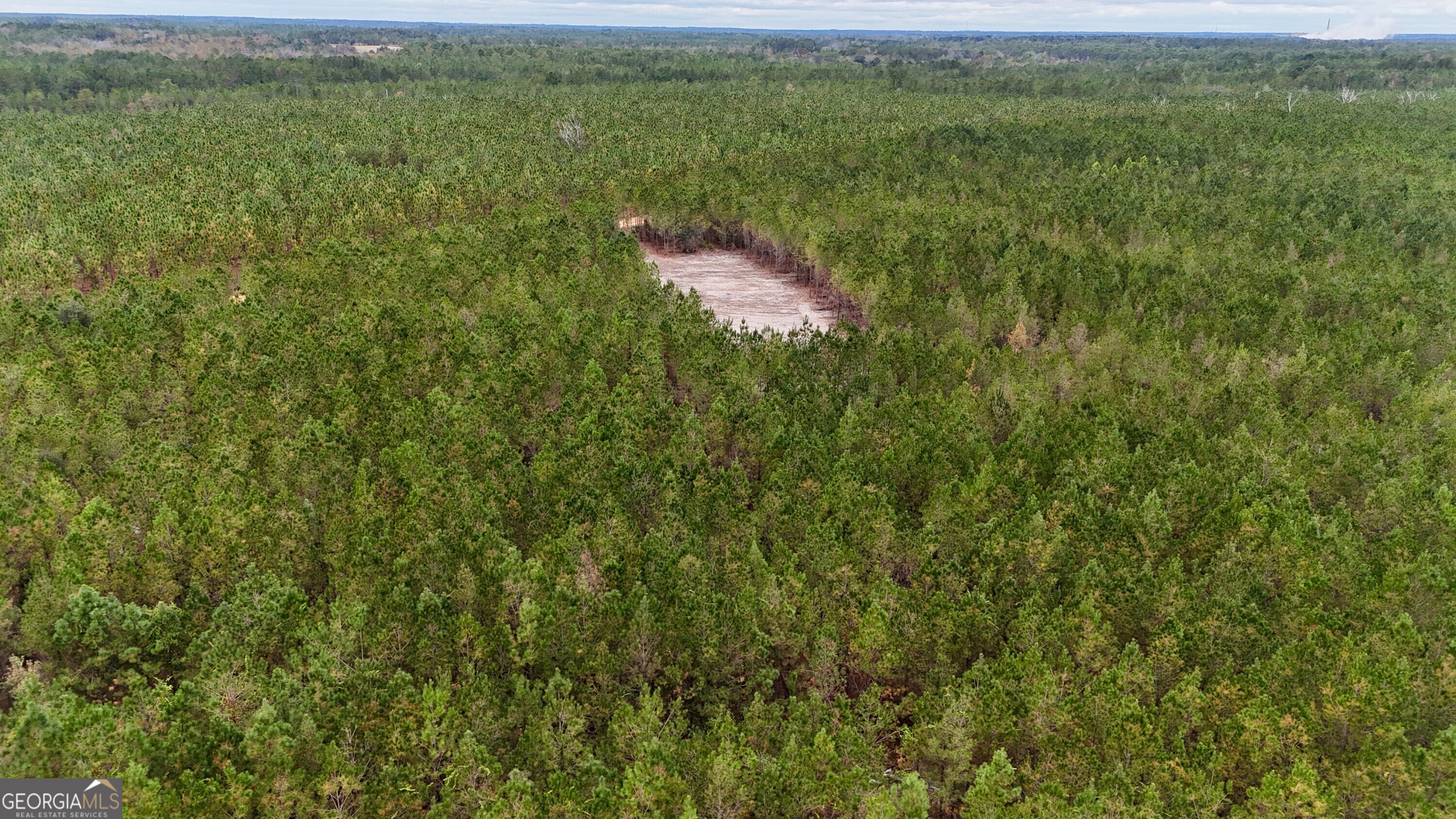 8 Penny Morris Road Baxley, GA 31513 - Photo 2 of 7
