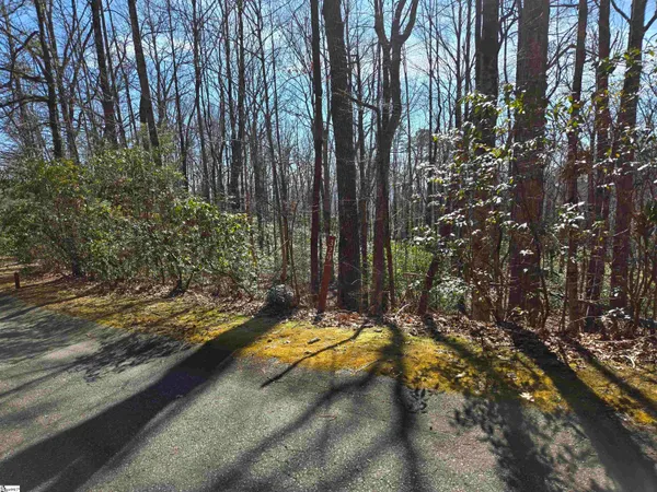 $35,000 | 116 Birchbend, Cleveland, SC 29635