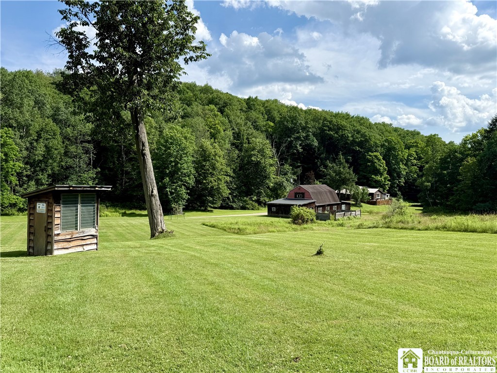 738 Butternut Brook Genesee, NY 14770 - Photo 36 of 47