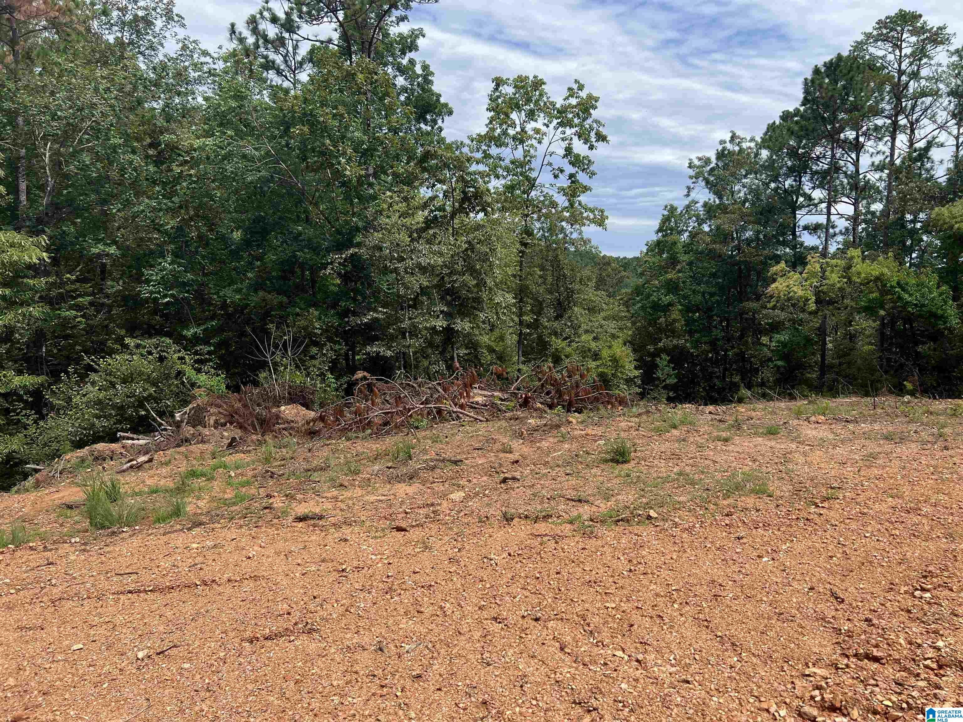 0 County Road 188 Clanton, AL 35046 - Photo 14 of 20
