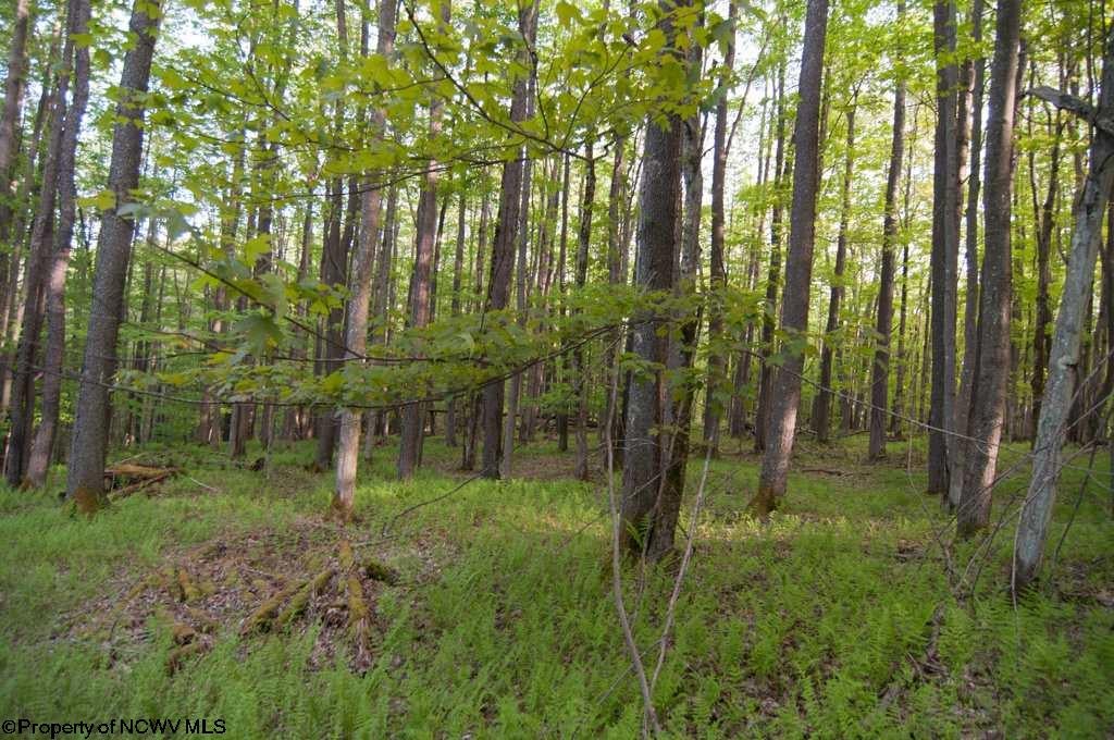 37 Bobcat Road Davis, WV 26260 - Photo 13 of 20 Gallery Image 13