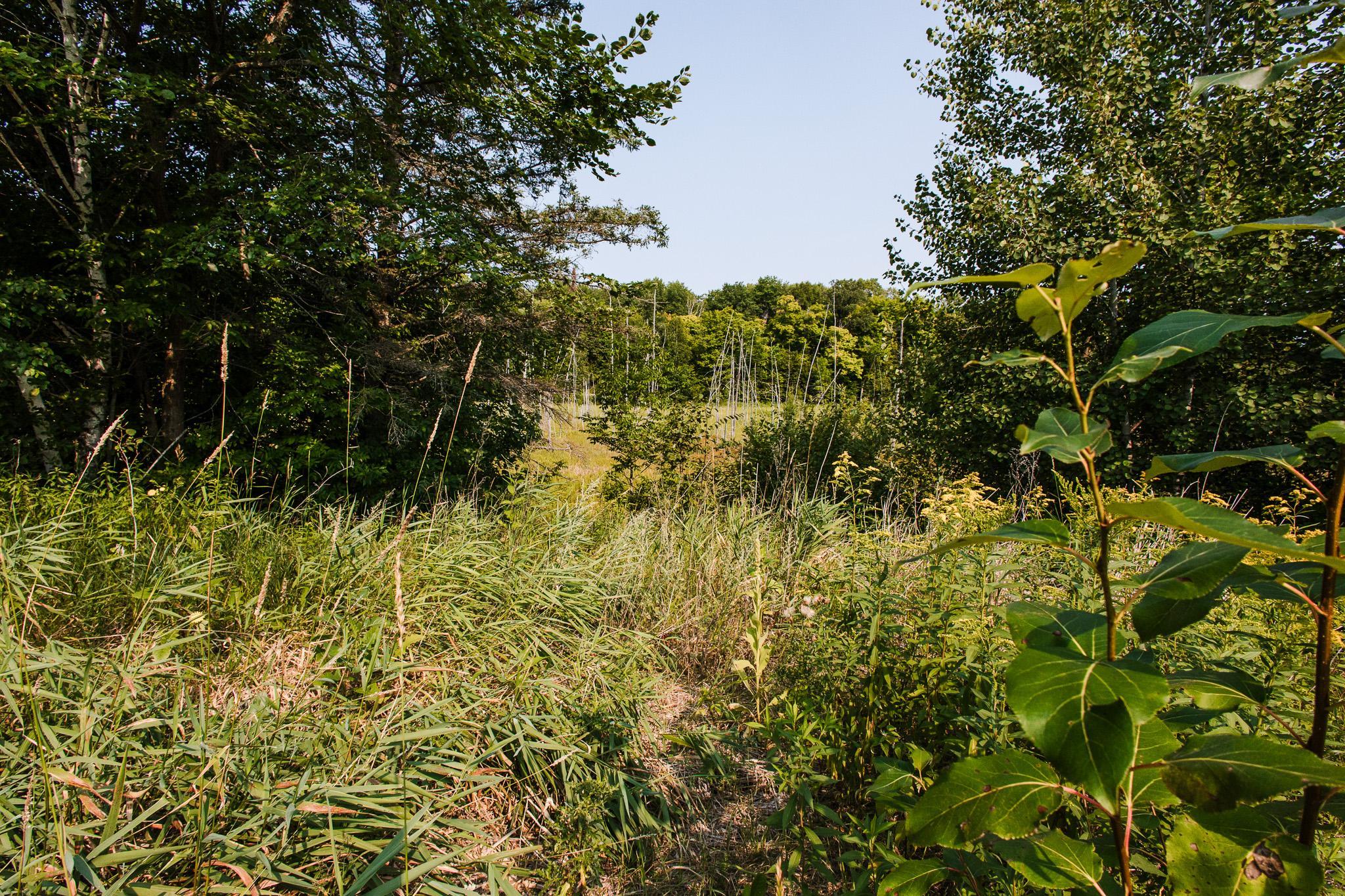 32812 Co Highway 26 Rochert, MN 56578 - Photo 50 of 58 Gallery Image 50