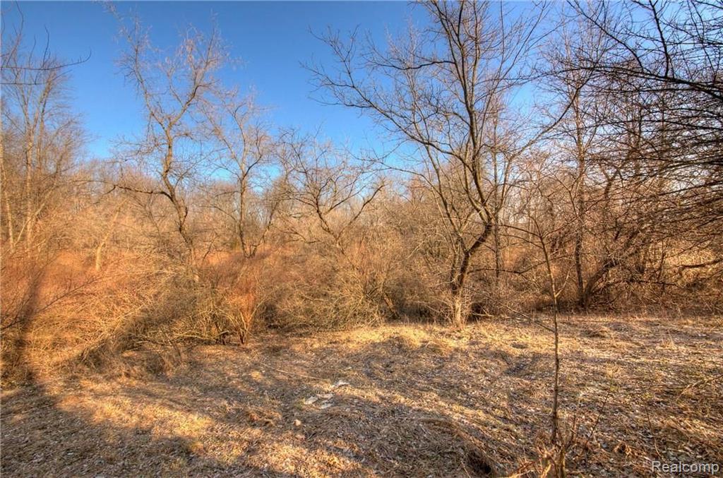 0 King Road Howell, MI 48843 - Photo 14 of 35