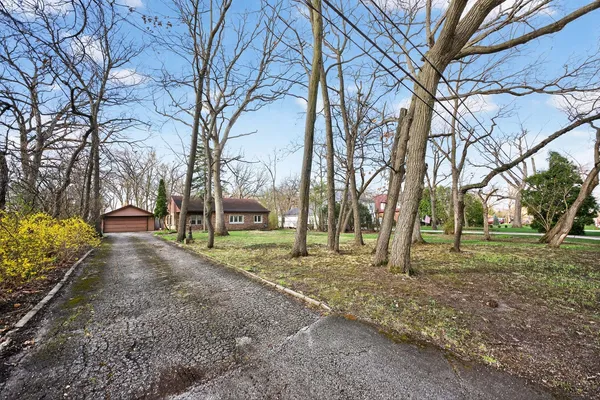 a view of a yard with a house and a tree