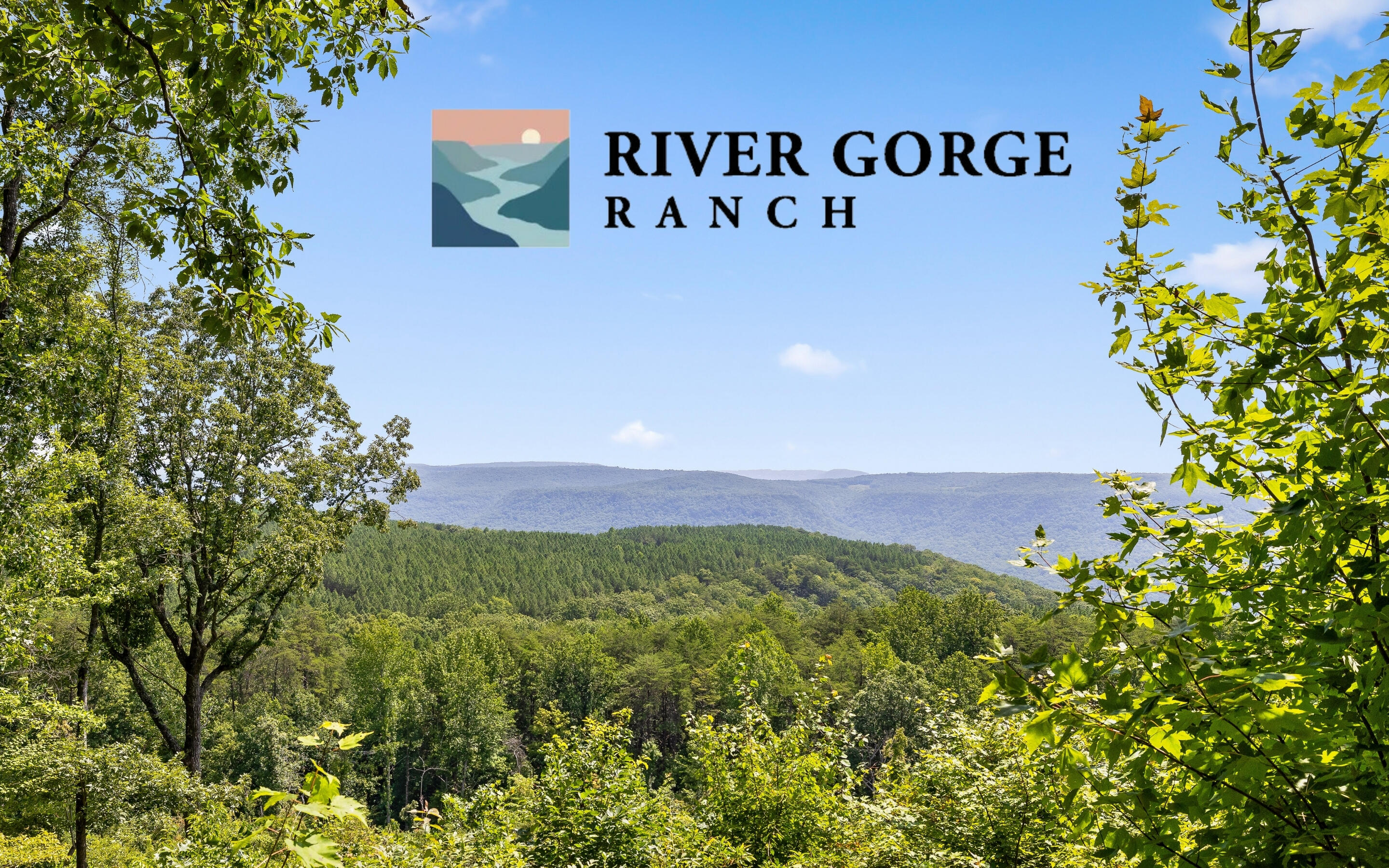 Lot 2225 High Ground Road Guild, TN 37340 - Photo 1 of 28 Lot 2225 High Ground Road