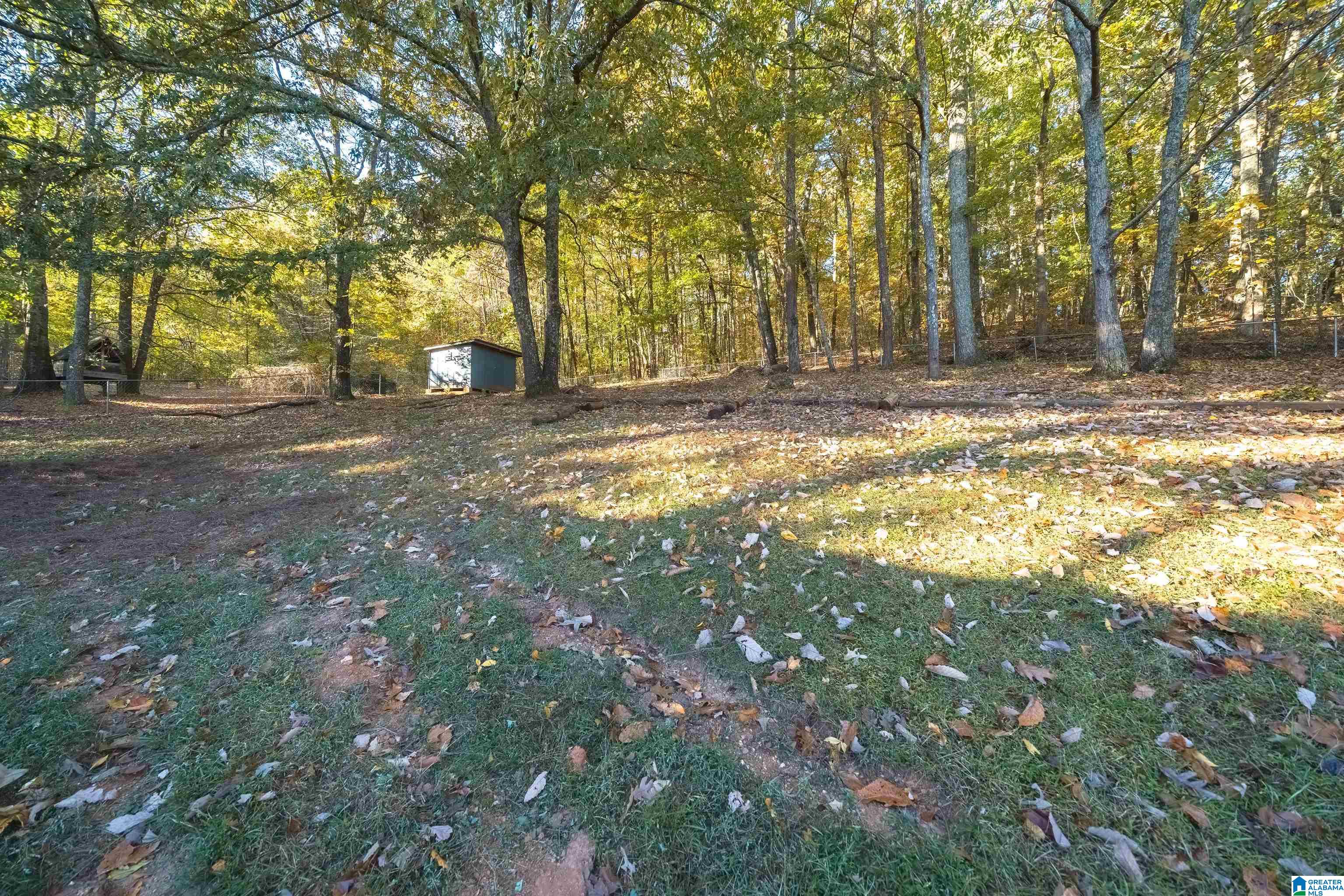 260 Lisa Lane Springville, AL 35146 - Photo 26 of 27