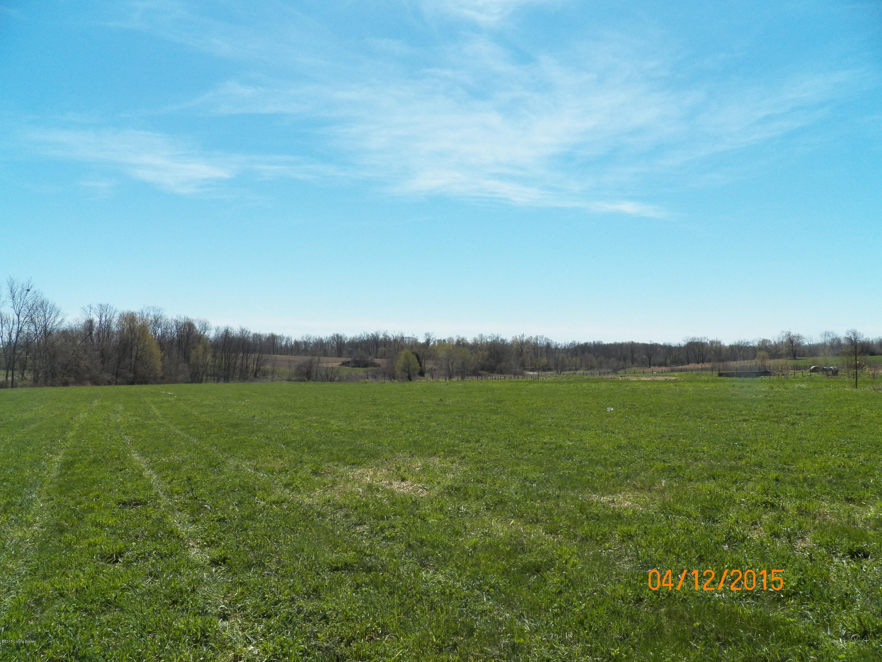 3 Vigo Road Bagdad, KY 40003 - Photo 2 of 7 101_0098