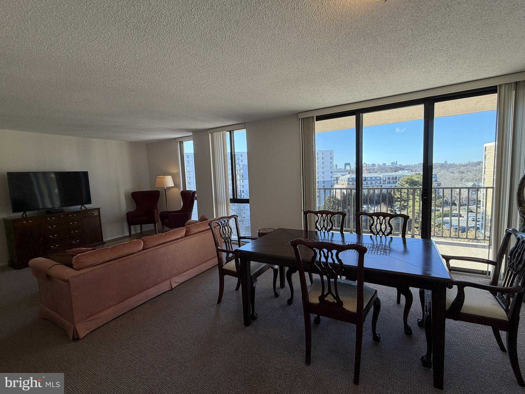 6800 Fleetwood Road, Unit 1002 McLean, VA 22101 - Photo 3 of 22