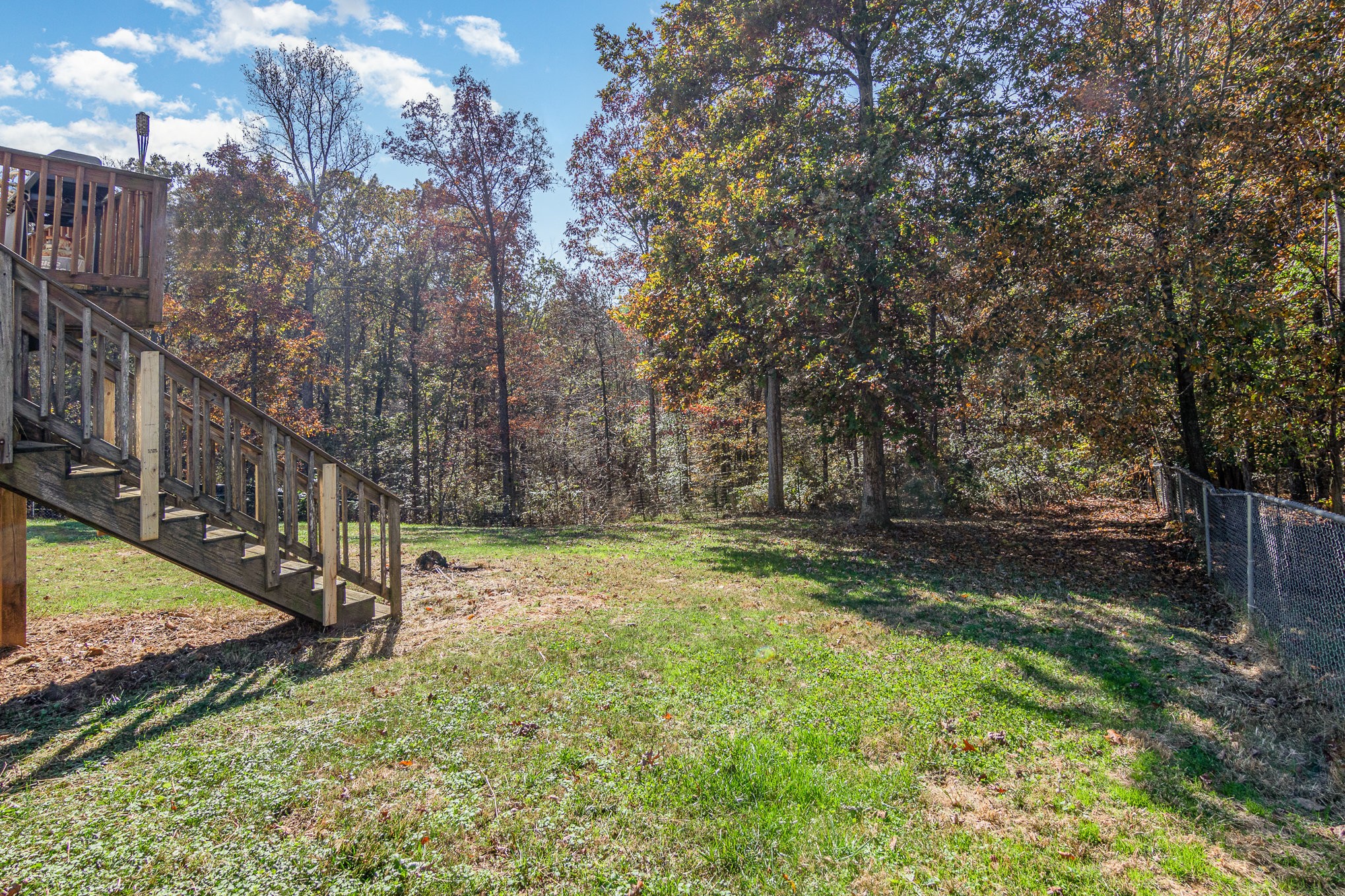 3289 Backridge Road Woodlawn, TN 37191 - Photo 29 of 30 a view of a backyard with large trees