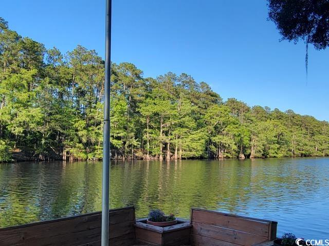 555 River Road Conway, SC 29526 - Photo 21 of 33 Gallery Image 21