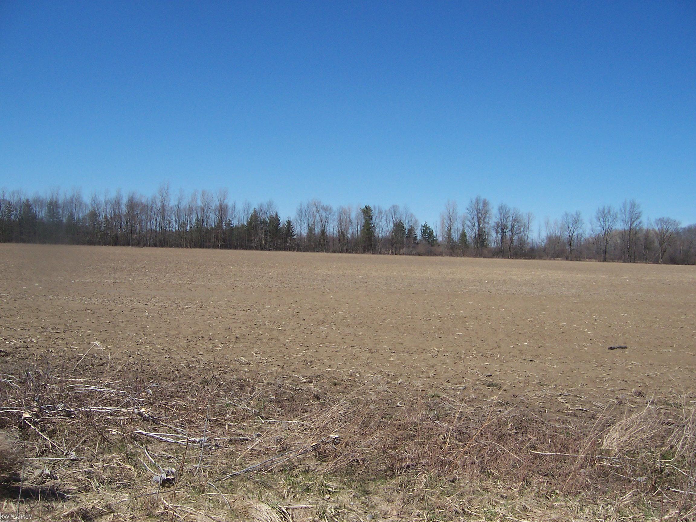 Lot 2 Beard Road Avoca, MI 48006 - Photo 2 of 2
