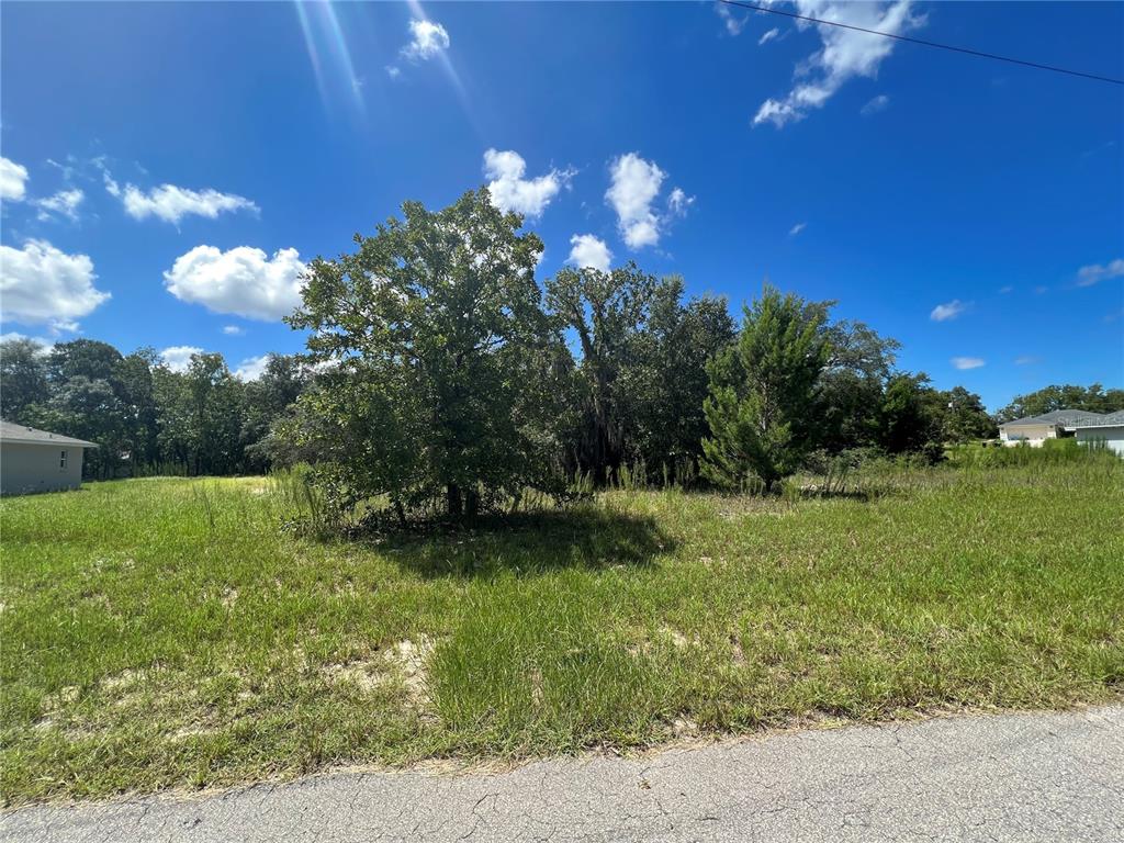 0 Southwest 147th St Road Ocala, FL 34473 - Photo 1 of 1