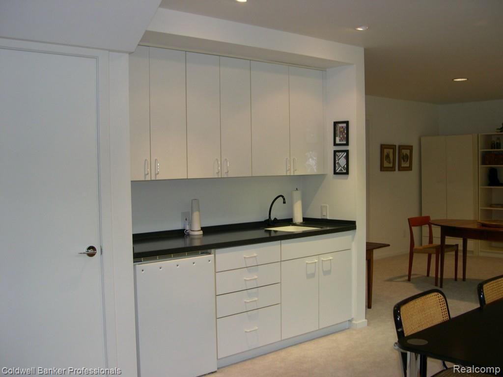 5800 Orion Road Rochester, MI 48306 - Photo 11 of 45 Wet Bar.jpg