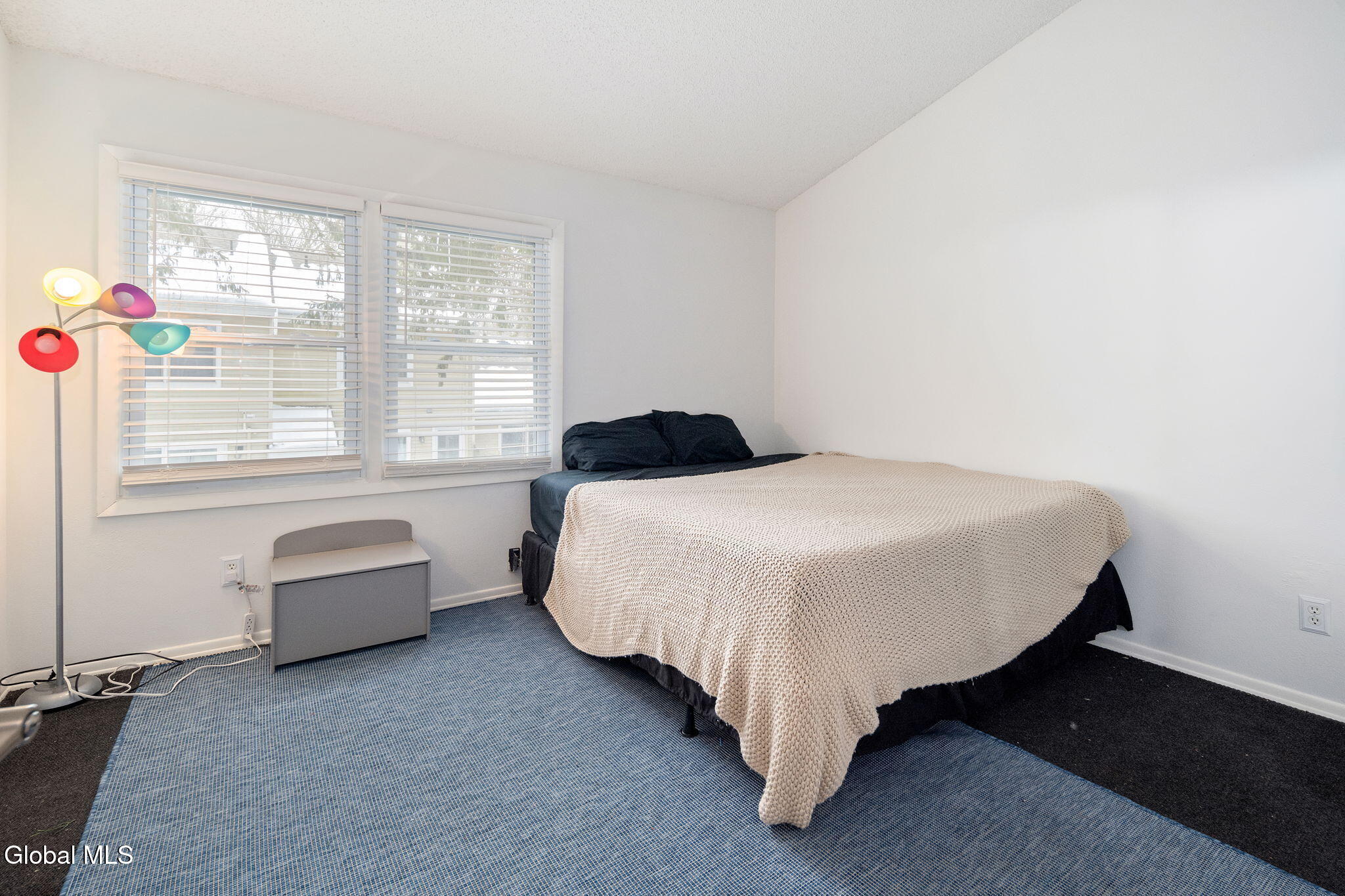 13 Raleigh Drive Halfmoon, NY 12065 - Photo 21 of 37 22-13RaleighDr_22