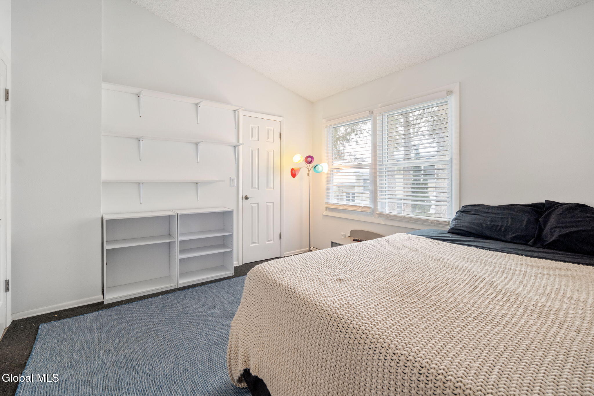 13 Raleigh Drive Halfmoon, NY 12065 - Photo 23 of 37 24-13RaleighDr_24