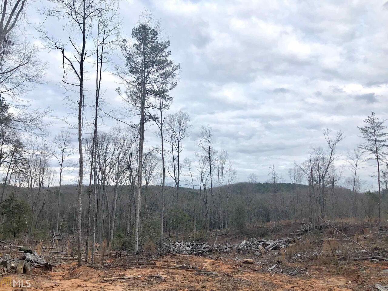 0 Jack Pittman Road Monroe, GA 30655 - Photo 1 of 1 a view of a backyard