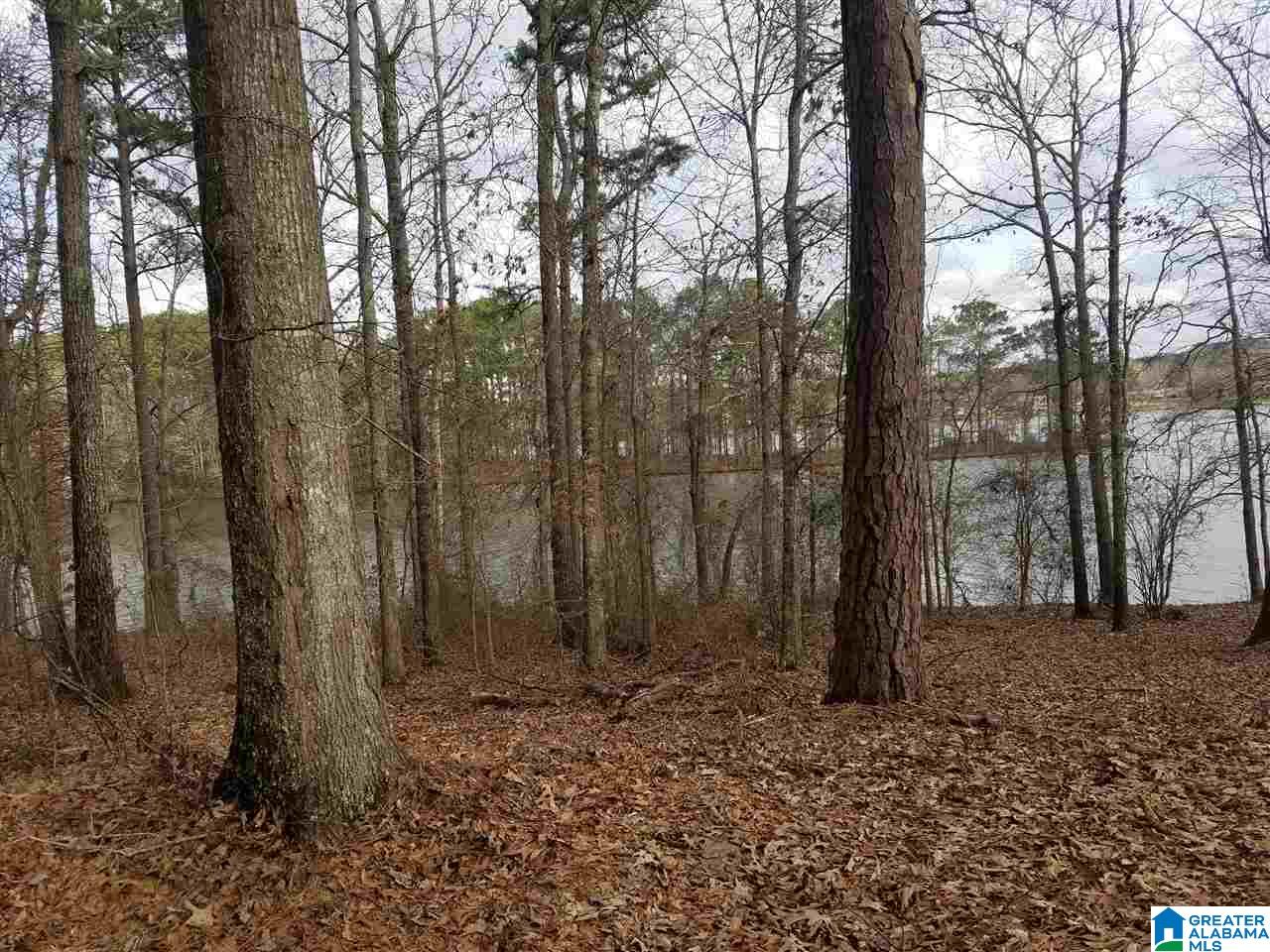 157 Summers Bend Sylacauga, AL 35151 - Photo 2 of 2