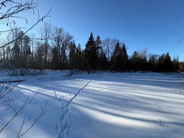 $67,000 | M10-l4-1 Yard Road, Oakfield, ME 04763