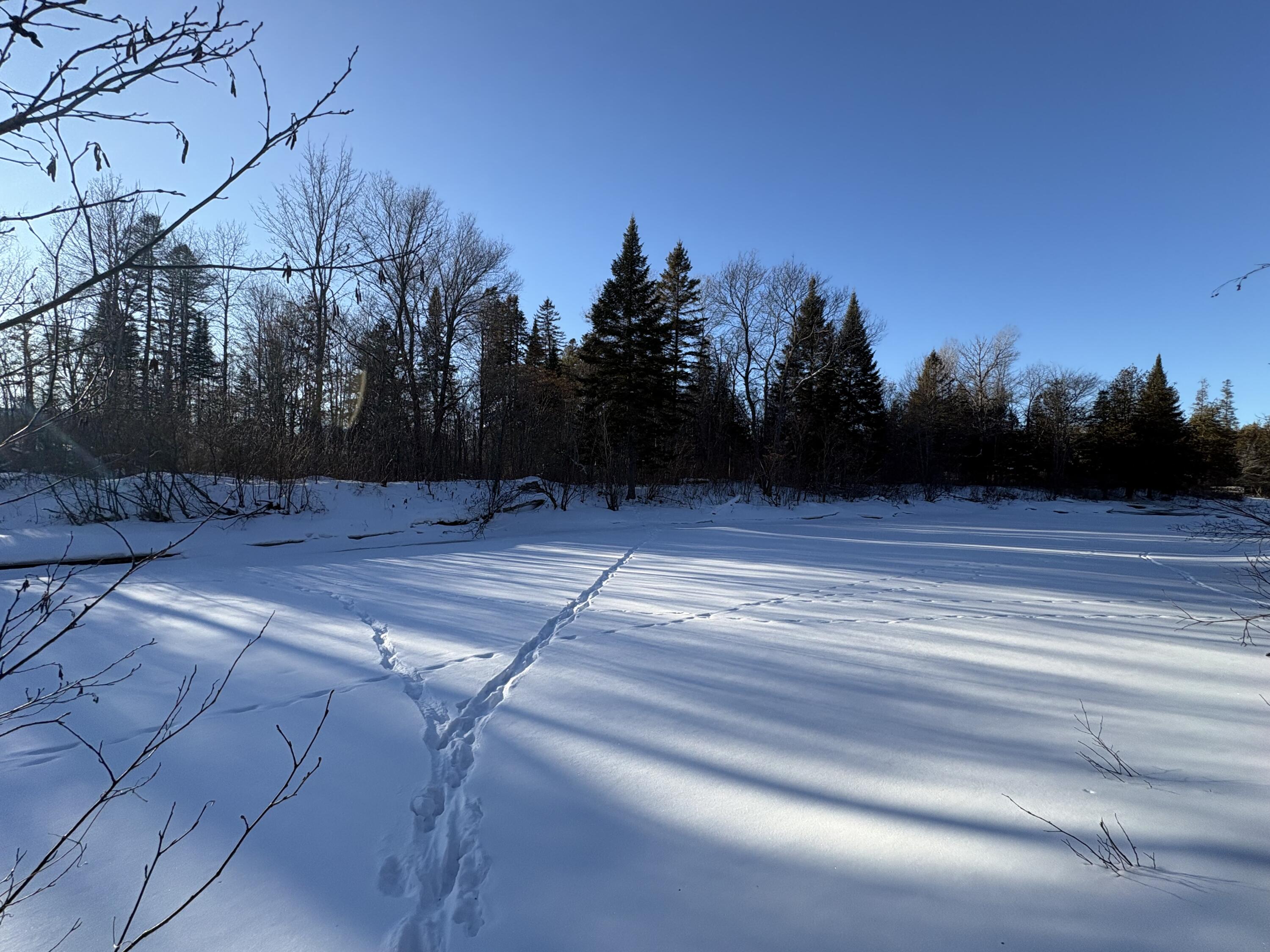 M10-l4-1 Yard Road Oakfield, ME 04763 - Photo 13 of 26 IMG_0392