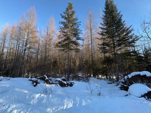 $67,000 | M10-l4-1 Yard Road, Oakfield, ME 04763