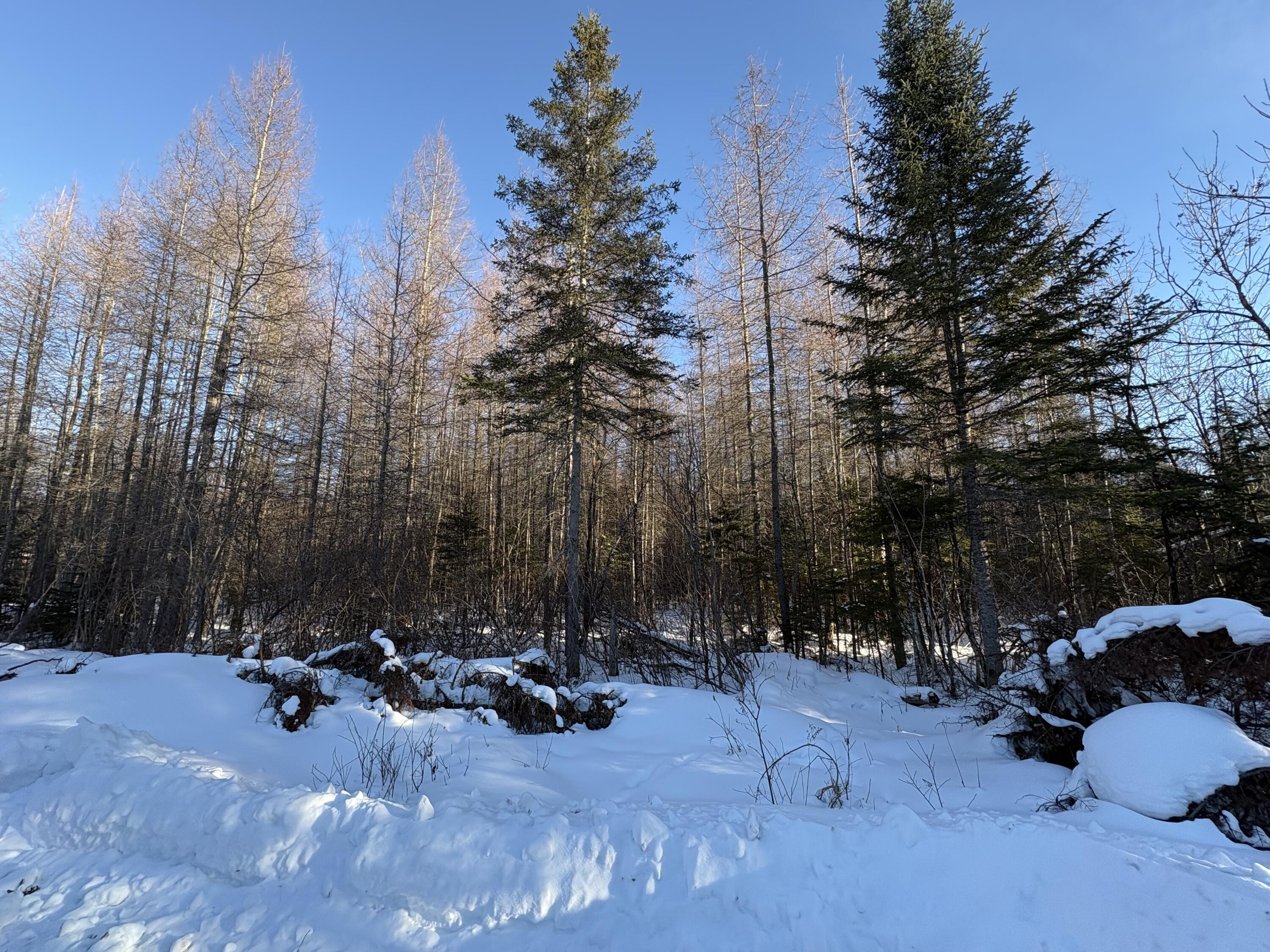 M10-l4-1 Yard Road Oakfield, ME 04763 - Photo 18 of 26 IMG_0384