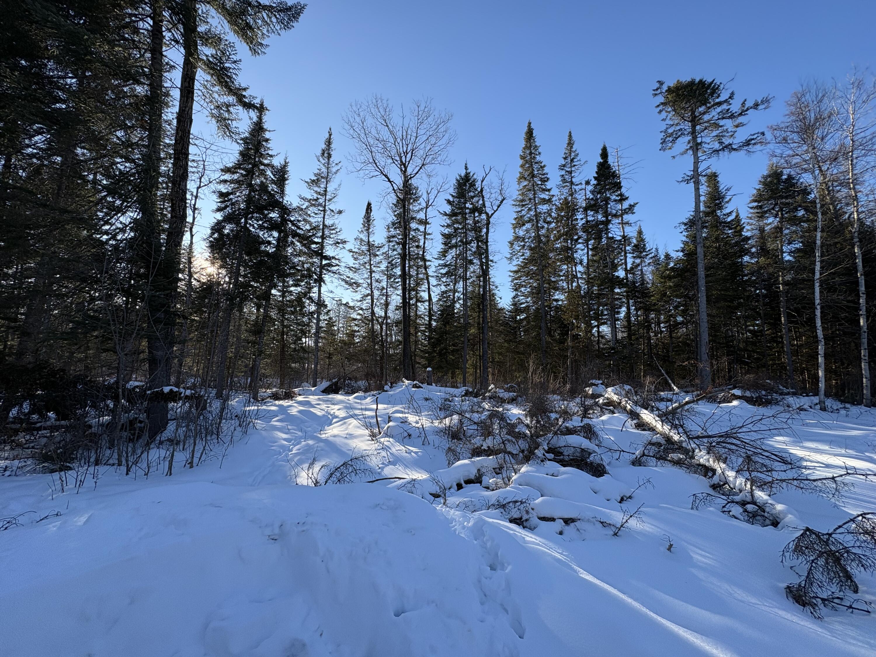 M10-l4-1 Yard Road Oakfield, ME 04763 - Photo 20 of 26 IMG_0382