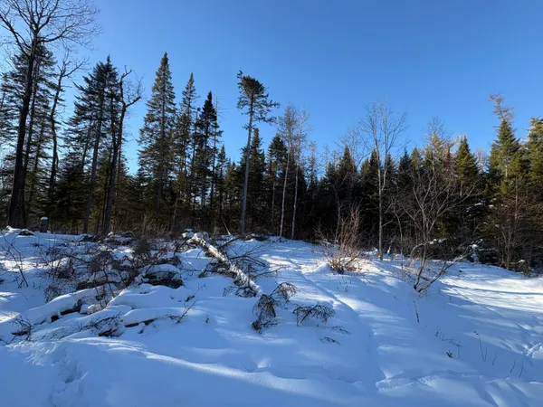 $67,000 | M10-l4-1 Yard Road, Oakfield, ME 04763