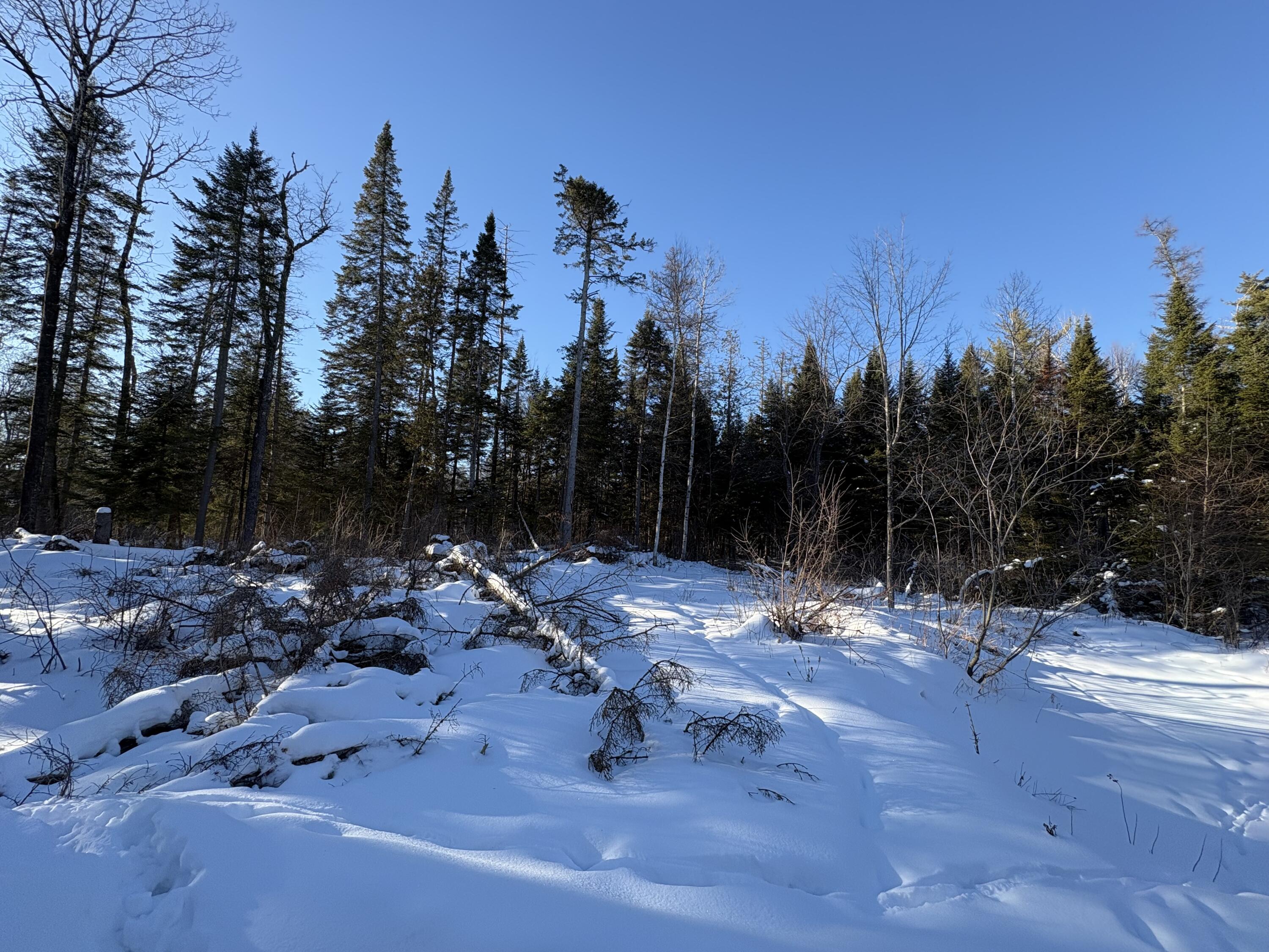 M10-l4-1 Yard Road Oakfield, ME 04763 - Photo 21 of 26 IMG_0381