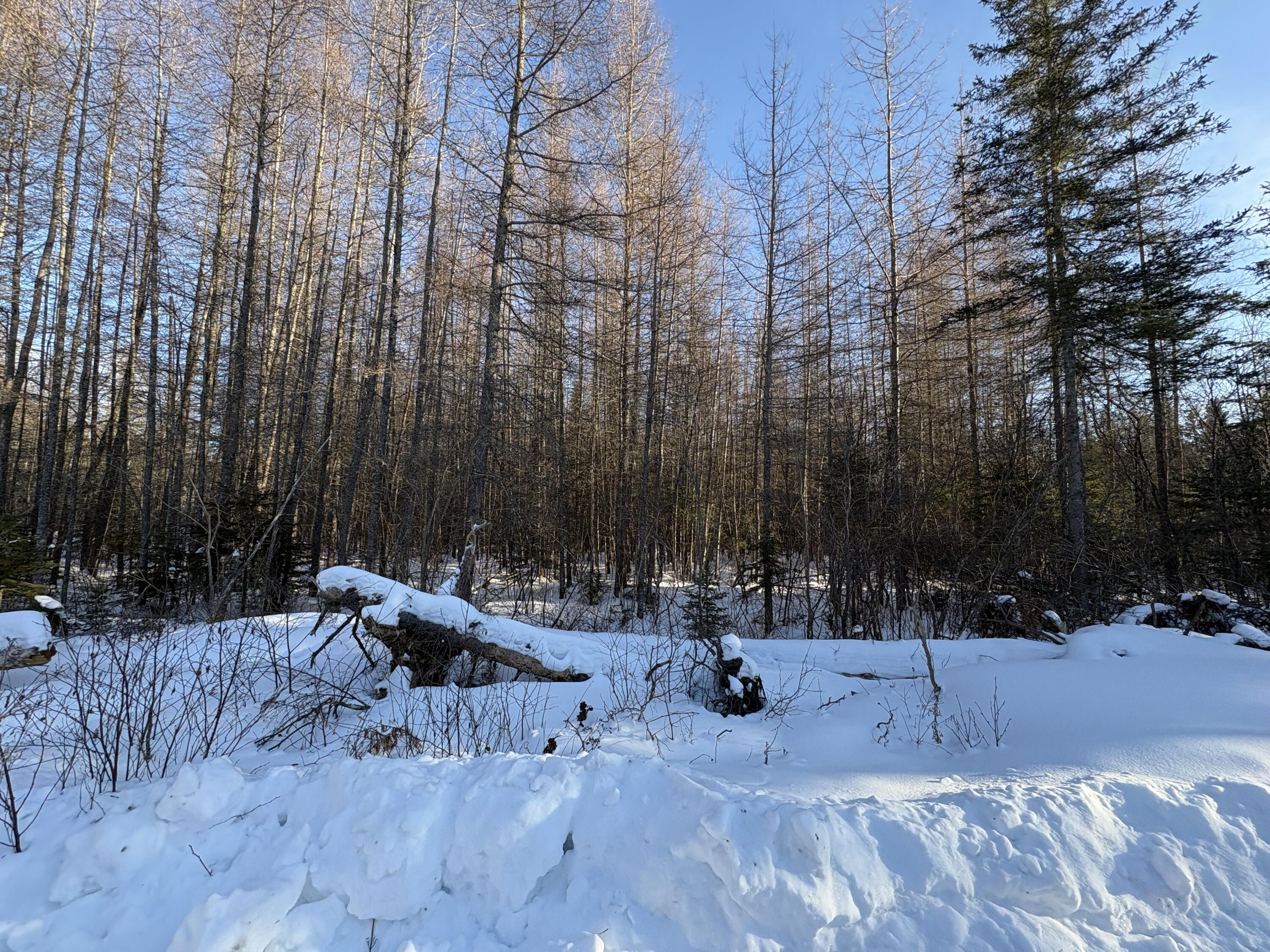 M10-l4-1 Yard Road Oakfield, ME 04763 - Photo 22 of 26 IMG_0380