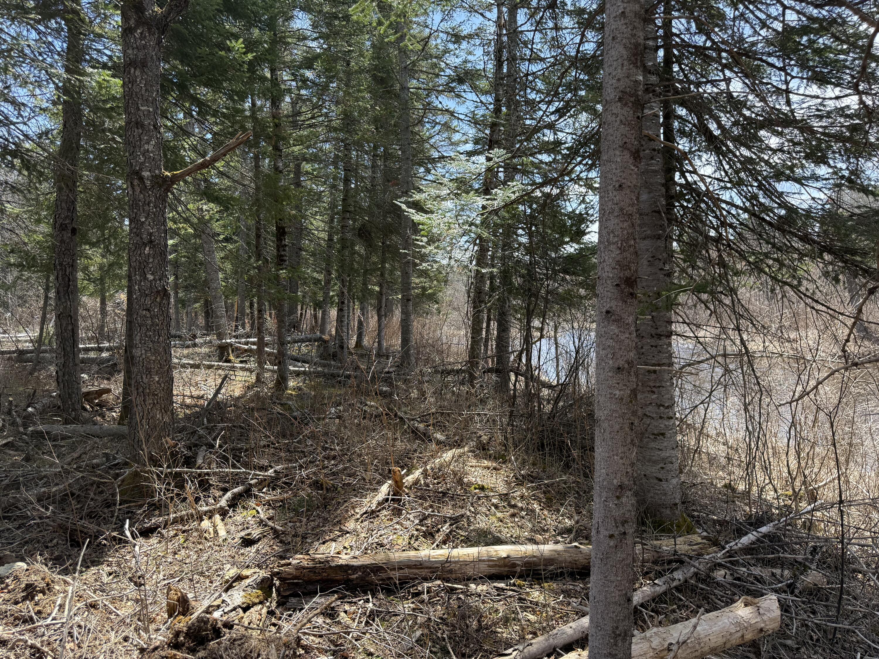 M10-l4-1 Yard Road Oakfield, ME 04763 - Photo 6 of 11 IMG_0745