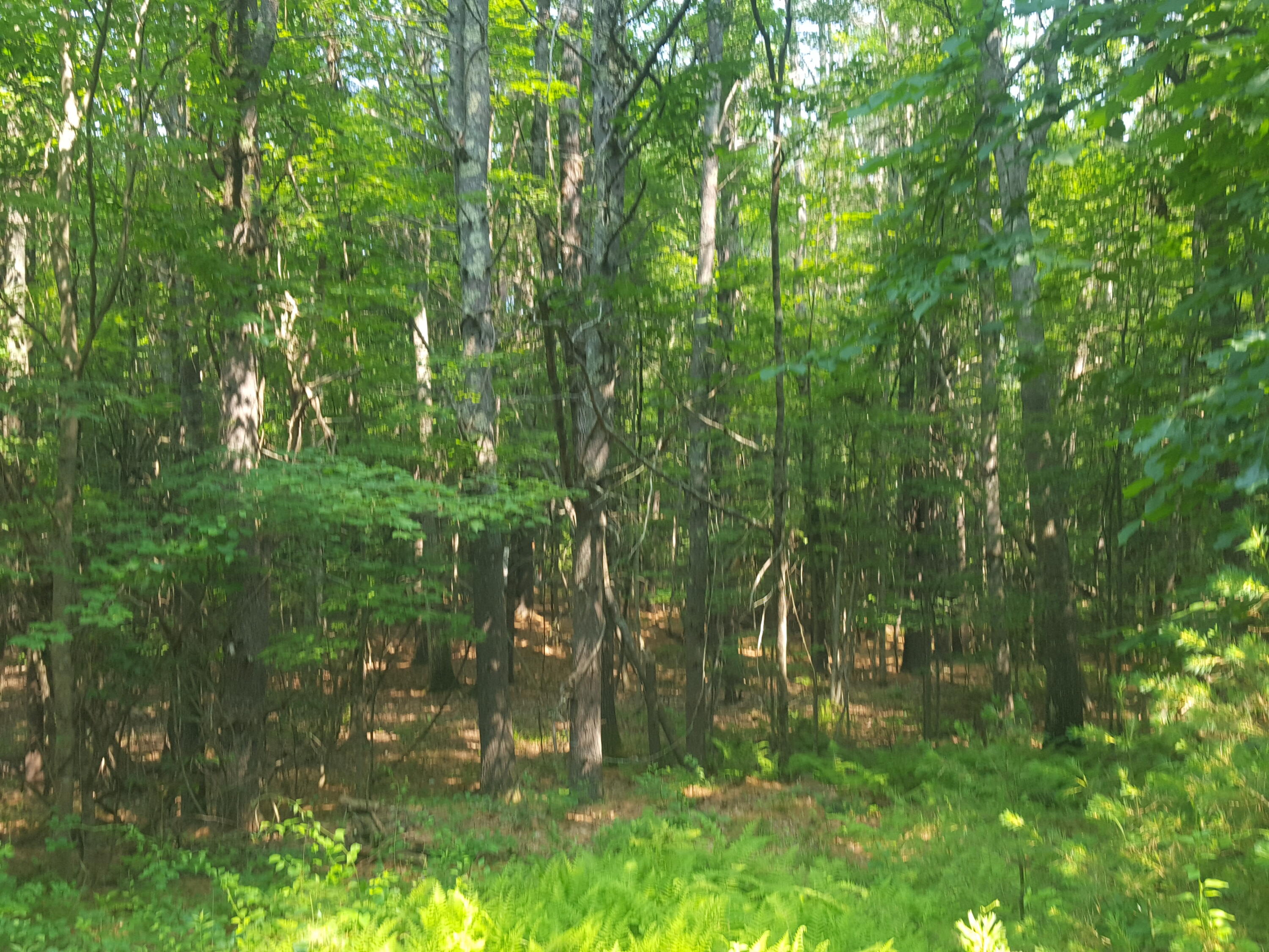 Lot 3-13 Pound Hill Road Cornish, ME 04020 - Photo 6 of 6 .