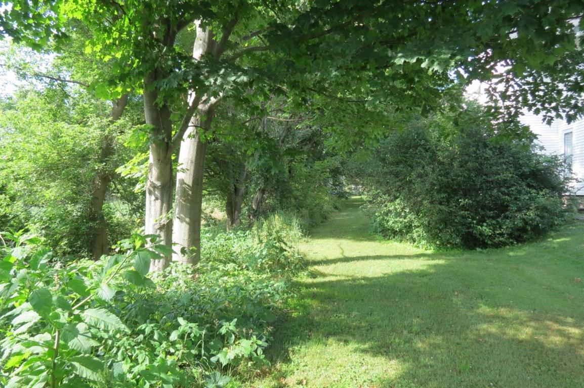 39 Maple Street Afton, NY 13730 - Photo 6 of 78 side yard