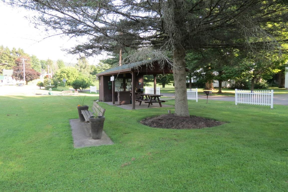 39 Maple Street Afton, NY 13730 - Photo 66 of 78 park across from party