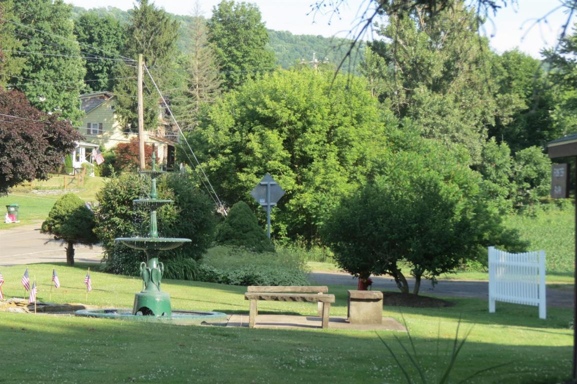 39 Maple Street Afton, NY 13730 - Photo 68 of 78 park across from property