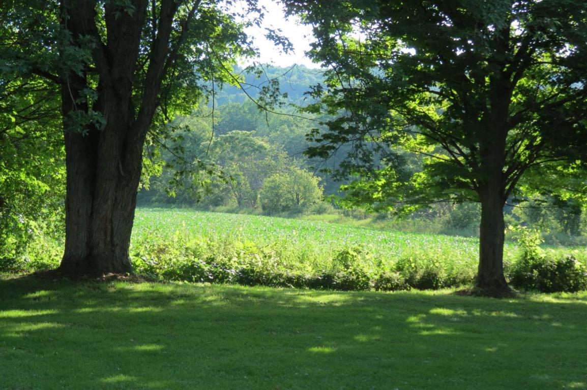 39 Maple Street Afton, NY 13730 - Photo 71 of 78 park