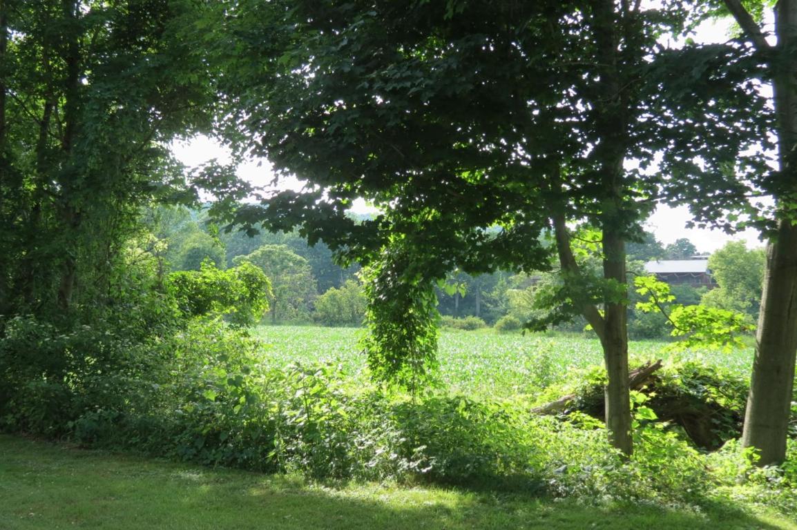 39 Maple Street Afton, NY 13730 - Photo 77 of 78 field