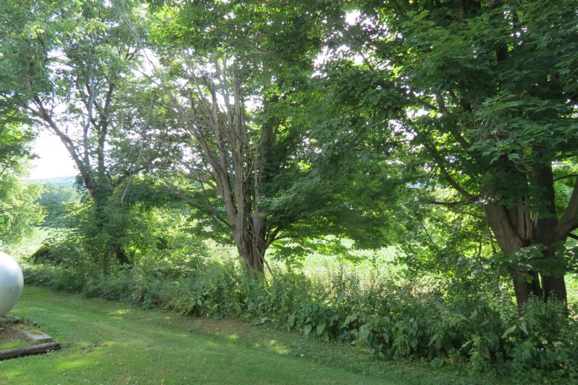 39 Maple Street Afton, NY 13730 - Photo 8 of 78 side yard