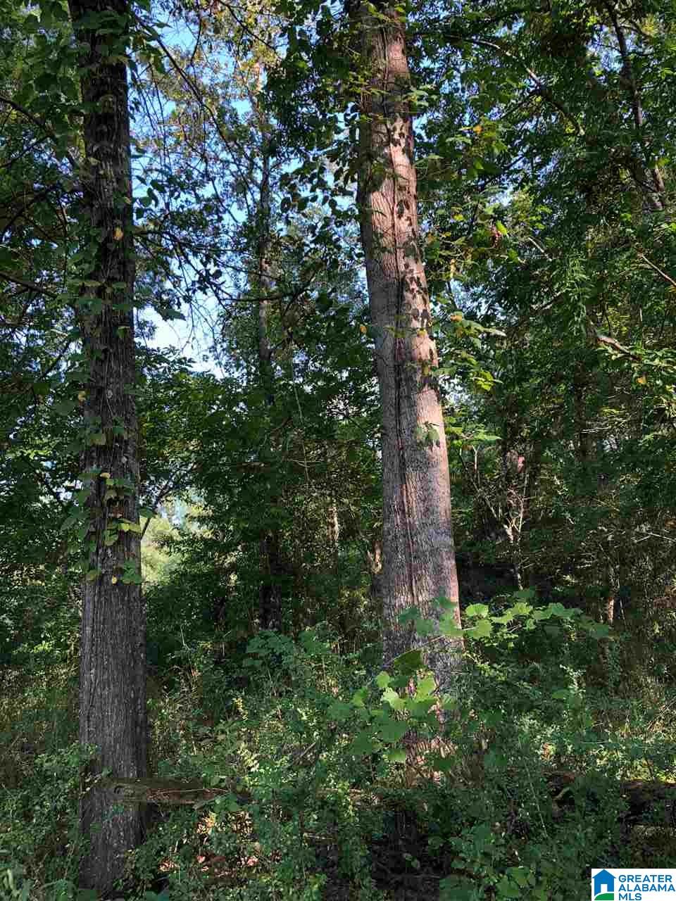 0 Brooks Road Ragland, AL 35131 - Photo 34 of 49