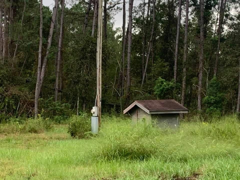 26348 Feely Road Elberta, AL 36530 - Photo 2 of 43