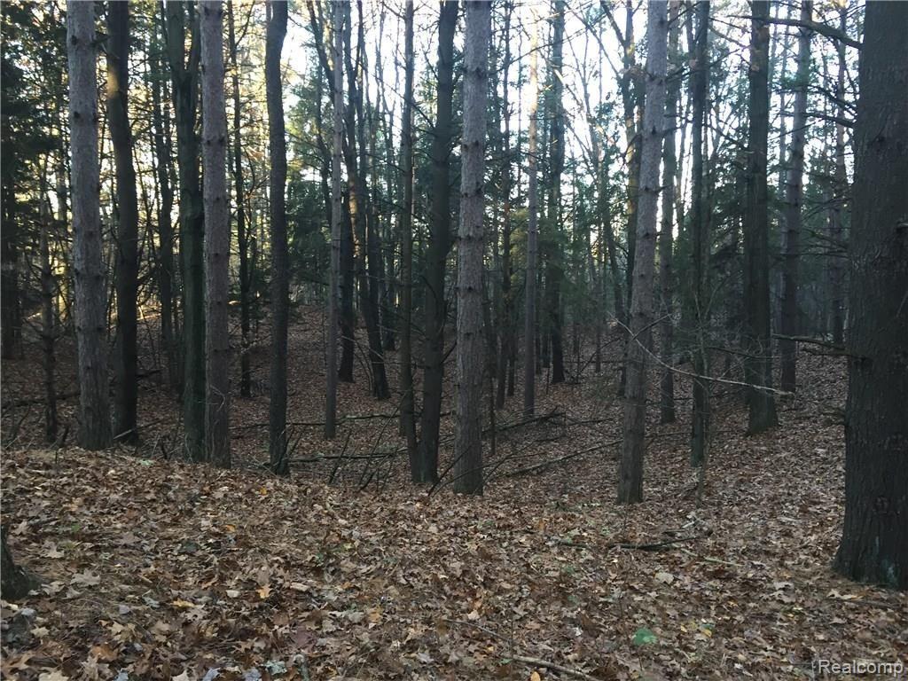 Vl Lake George Road Dryden, MI 48455 - Photo 10 of 23
