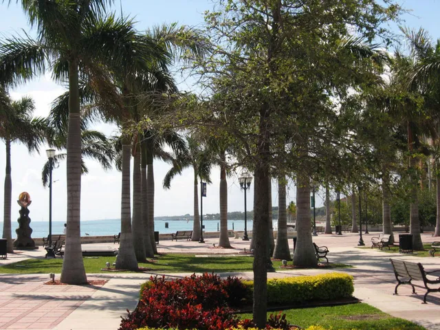 a view of a yard with palm tree