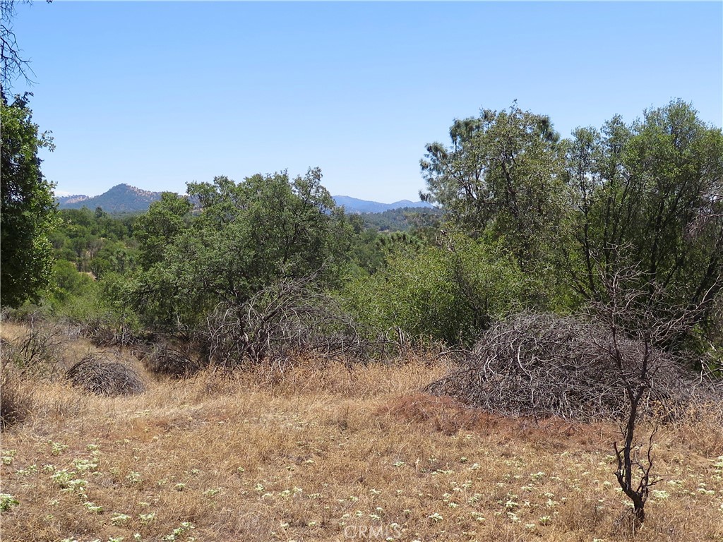 0 Ramblin Road Mariposa, CA 95338 - Photo 4 of 13