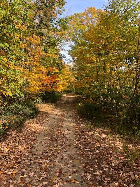 0 Sanford Road Alfred, ME 04002 - Photo 1 of 2 IMG_1181