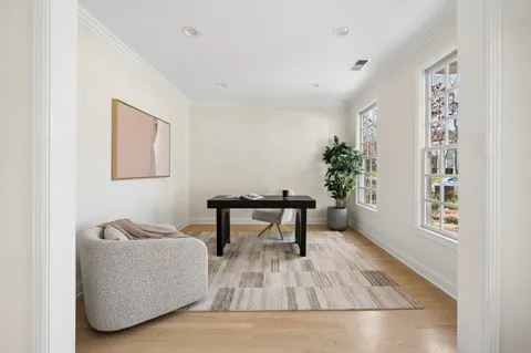 a living room with furniture and a potted plant