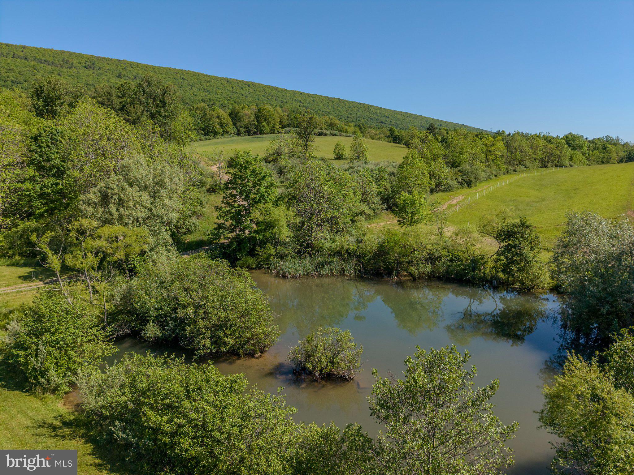 4503 Scotch Valley Road Hollidaysburg, PA 16648 - Photo 21 of 85
