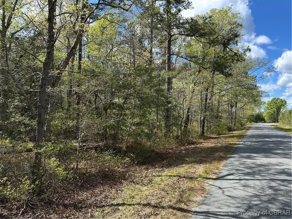 $19,999 | 0 Briery Swamp, Jamaica, VA 23079