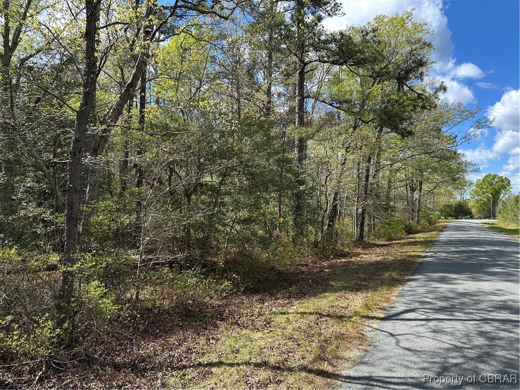 0 Briery Swamp Road Church View, VA 23032 - Photo 1 of 3 View of street featuring a forest view