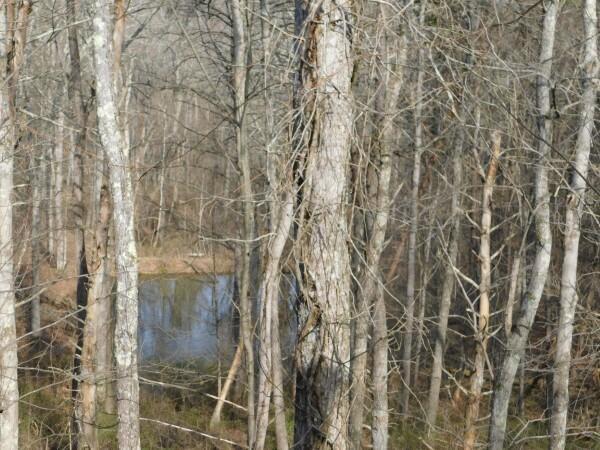 31044 Mays Road Logan, OH 43138 - Photo 8 of 27
