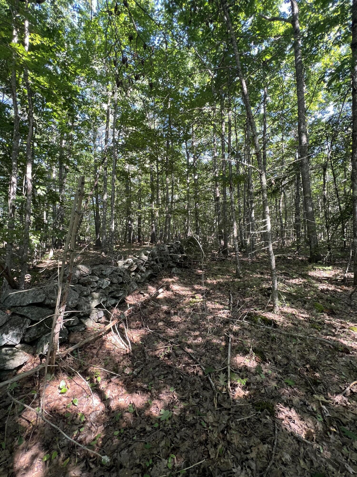 401 West Neck Road Nobleboro, ME 04555 - Photo 2 of 13 IMG_3650