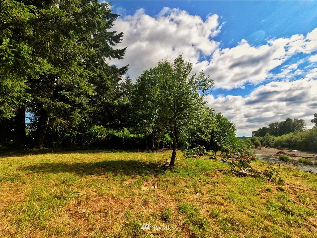 107 Satsop Riviera Loop Montesano, WA 98563 - Photo 7 of 10 Gallery Image 7